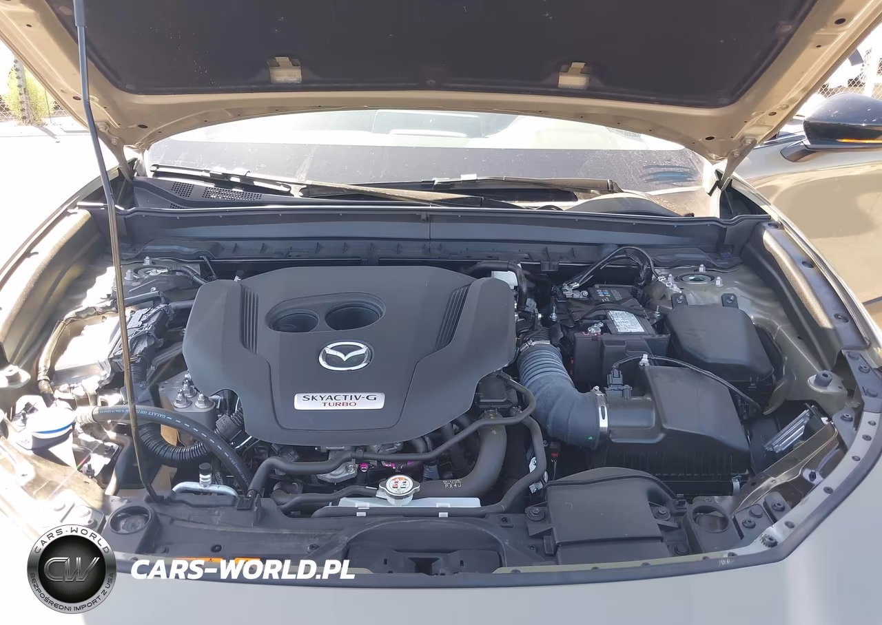 2025 Mazda Cx-30 2.5 Carbon Turbo VIN:3MVDMBXY5SM830419 - 10
