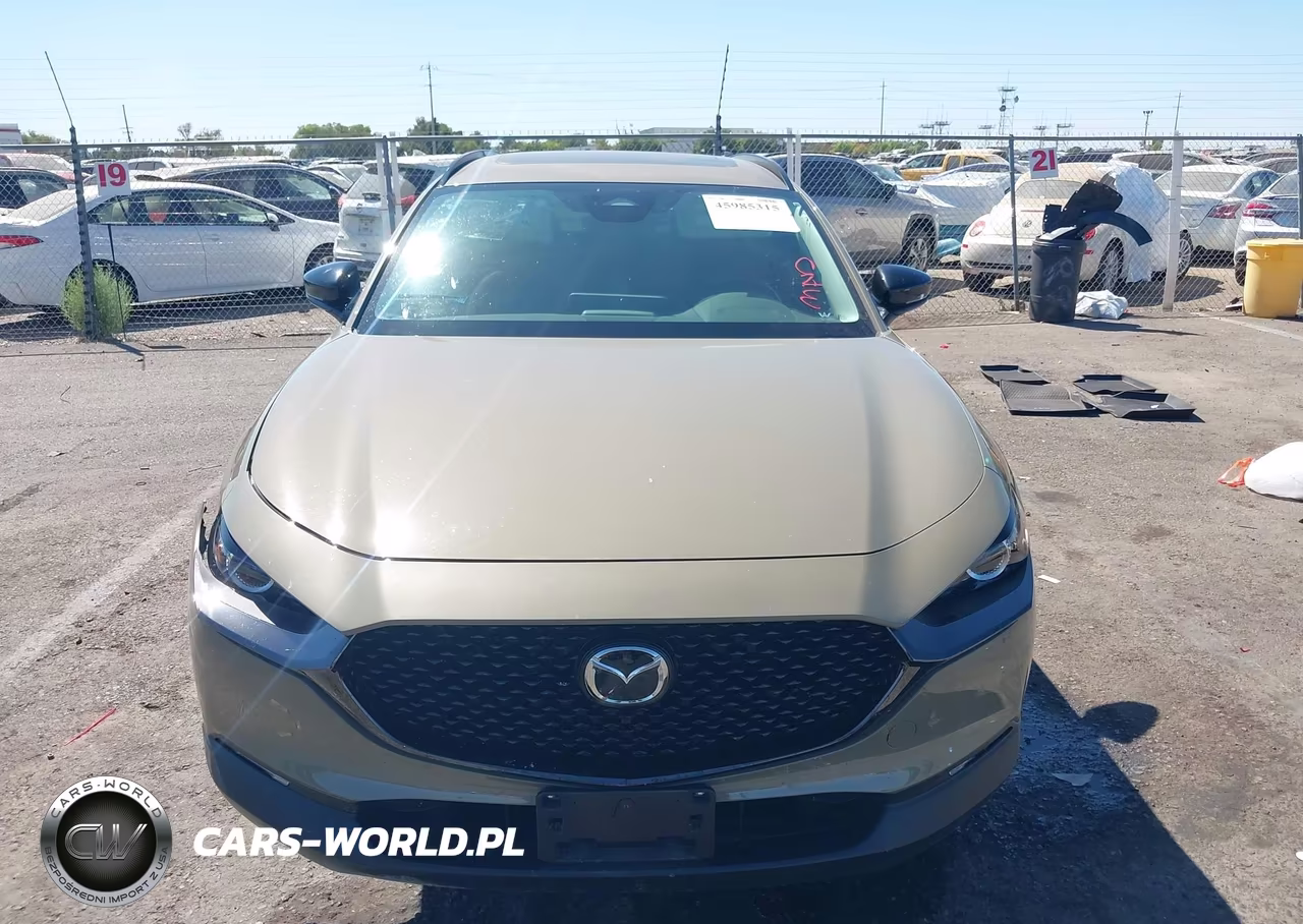 2025 Mazda Cx-30 2.5 Carbon Turbo VIN:3MVDMBXY5SM830419 - 12