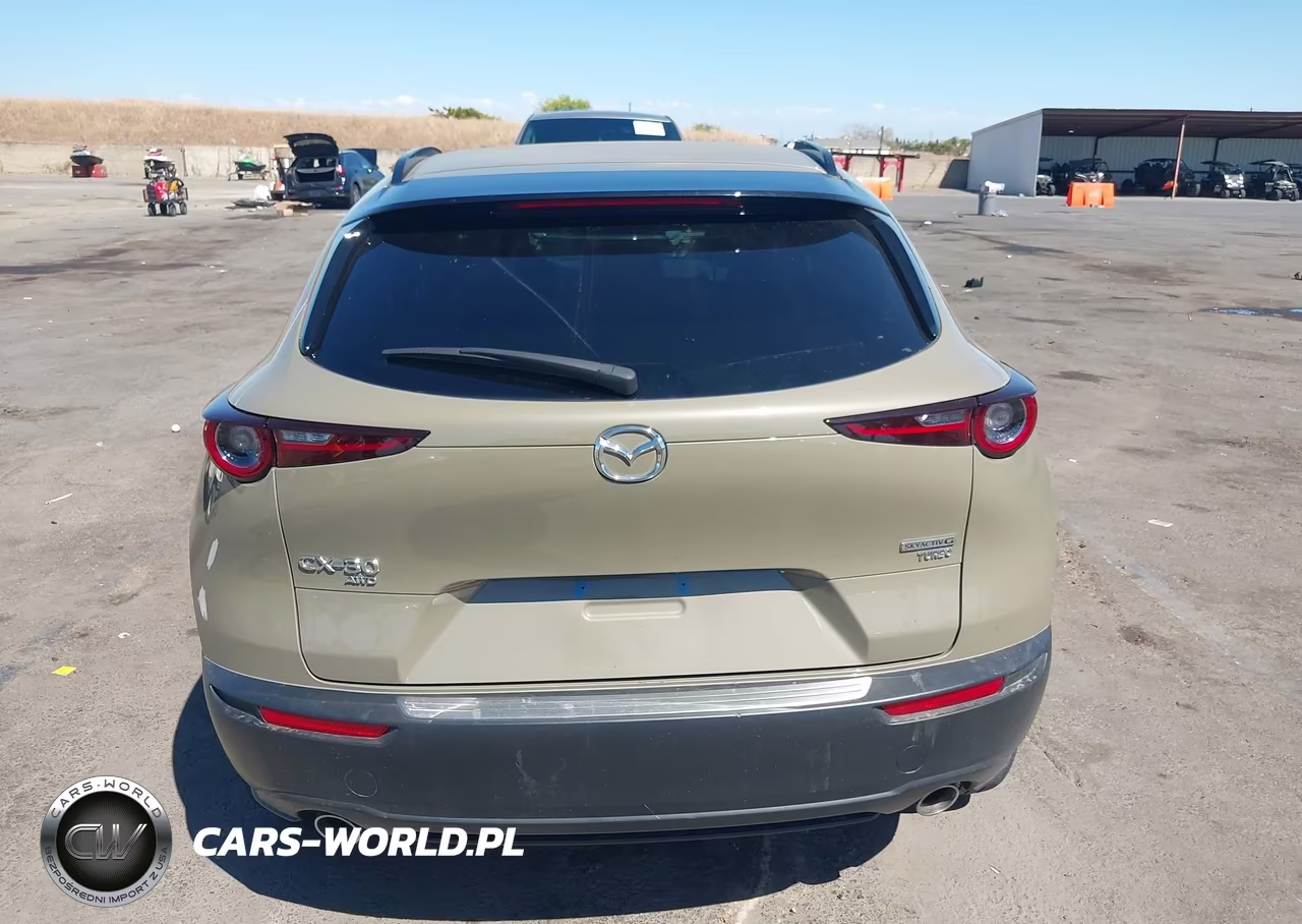 2025 Mazda Cx-30 2.5 Carbon Turbo VIN:3MVDMBXY5SM830419 - 16
