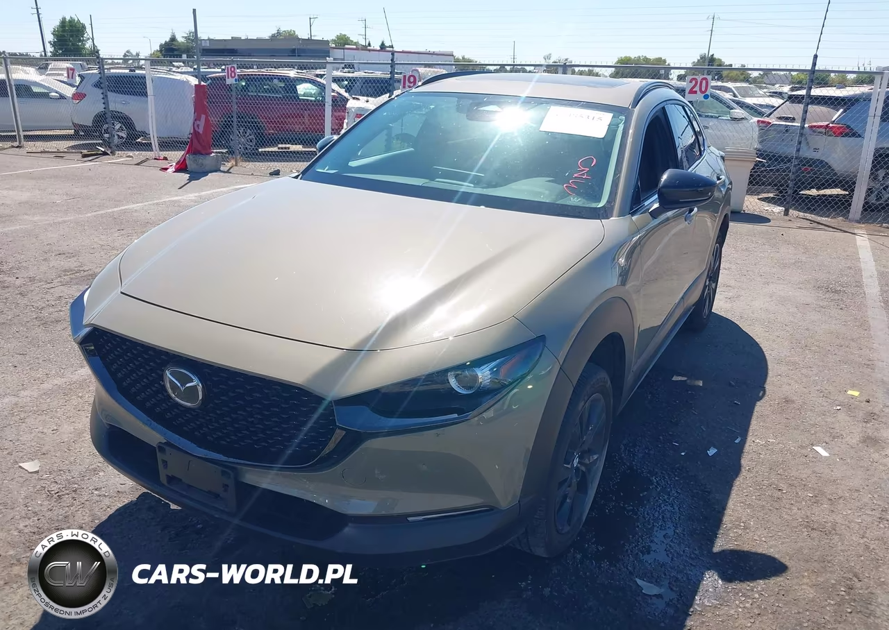 2025 Mazda Cx-30 2.5 Carbon Turbo VIN:3MVDMBXY5SM830419 - 2