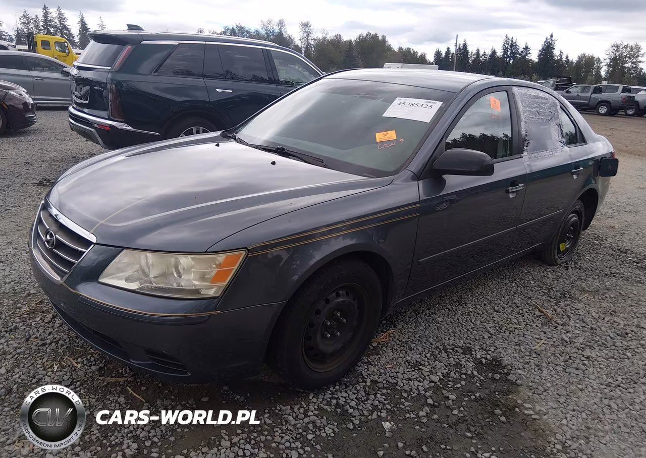 2010 Hyundai Sonata Gls VIN:5NPET4AC4AH623736 - 2