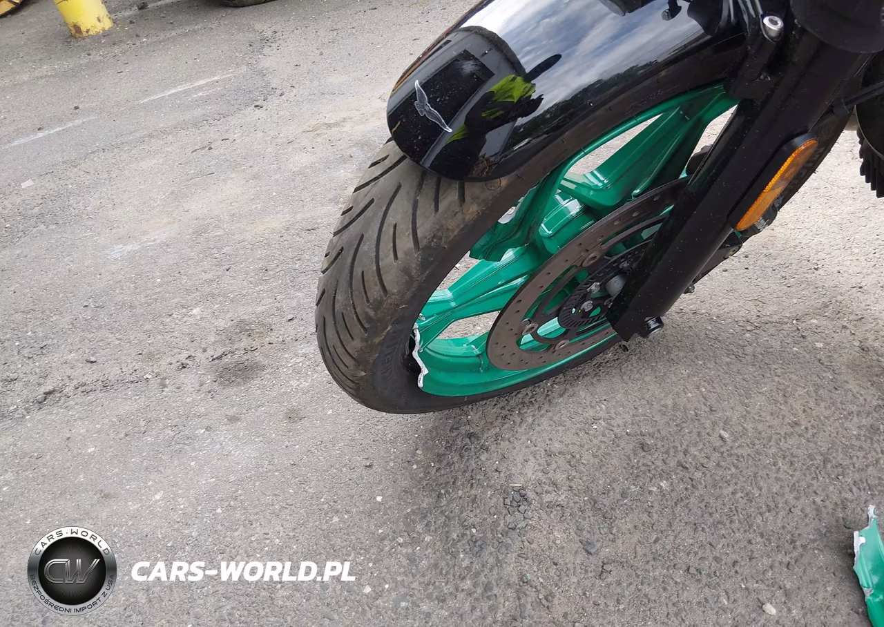 2018 Moto Guzzi Other VIN:ZGULDUA08JM000262 - 12