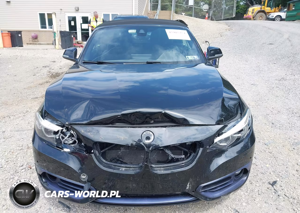 2020 BMW 230I xDrive VIN:WBA2K1C01L7D94740 - 12