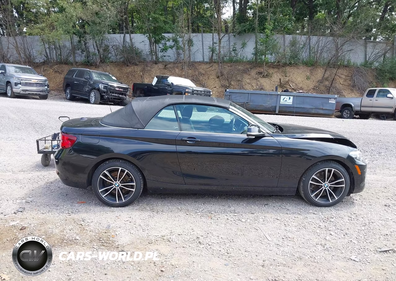 2020 BMW 230I xDrive VIN:WBA2K1C01L7D94740 - 13