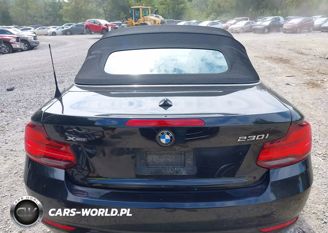 2020 BMW 230I xDrive VIN:WBA2K1C01L7D94740 - 16