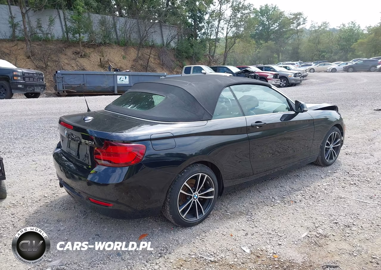 2020 BMW 230I xDrive VIN:WBA2K1C01L7D94740 - 4