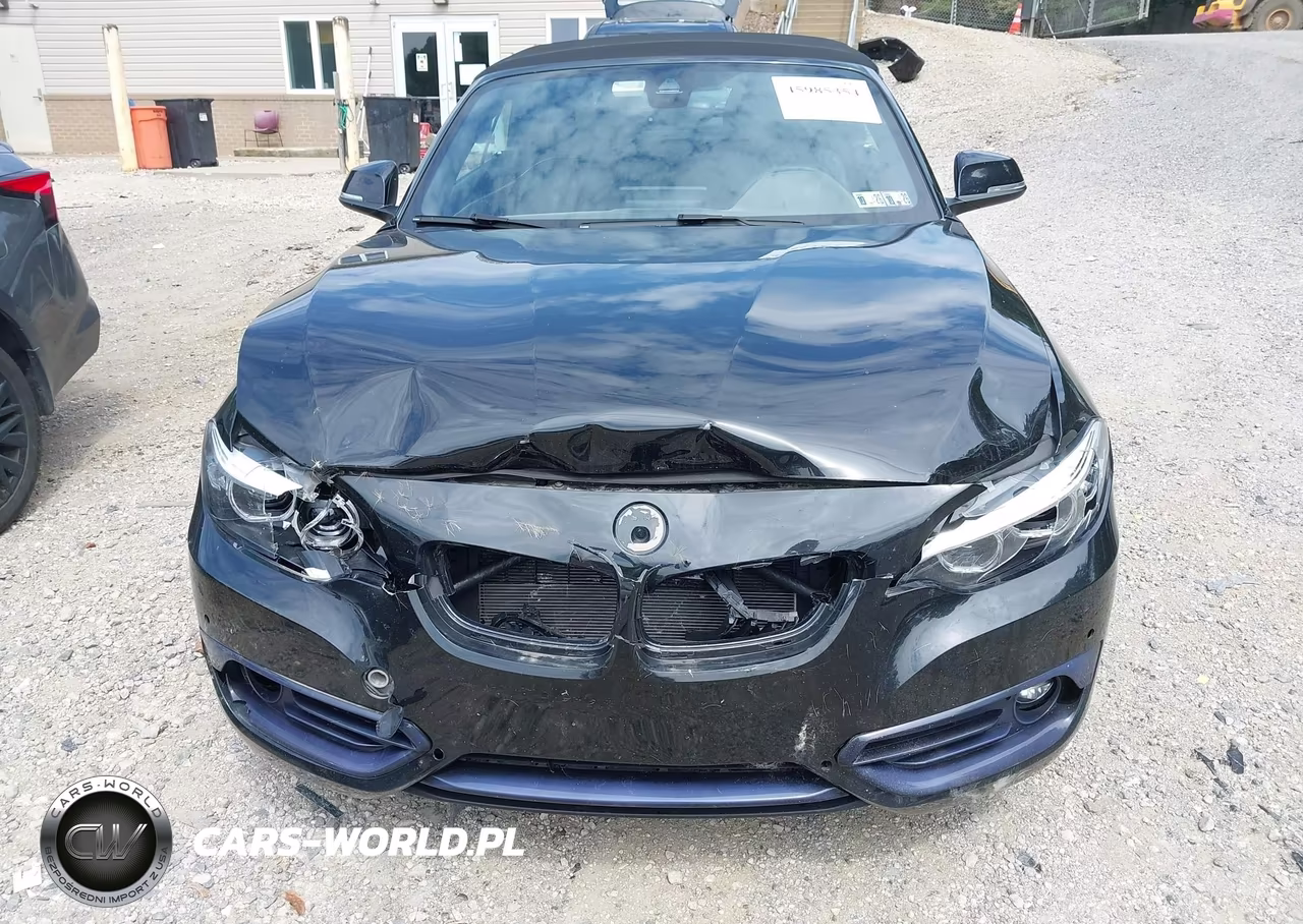 2020 BMW 230I xDrive VIN:WBA2K1C01L7D94740 - 6