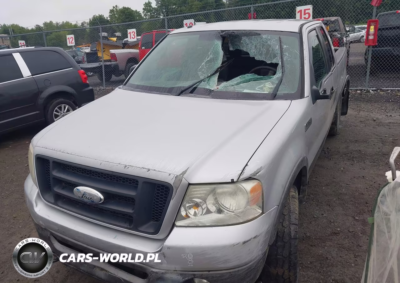 2006 Ford F-150 Fx4-Lariat-Xl-Xlt VIN:1FTPX14506NA99940 - 6