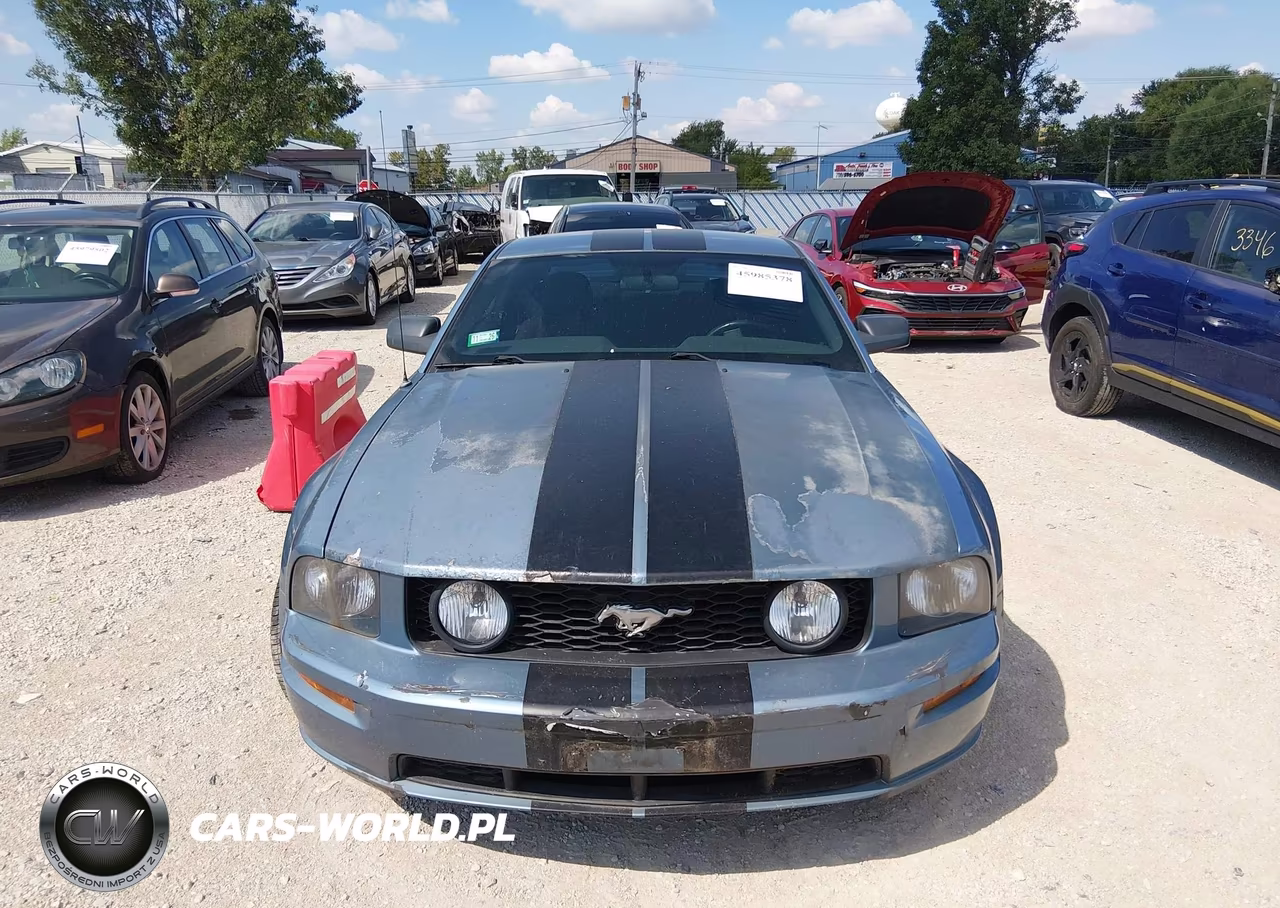 2006 Ford Mustang Gt VIN:1ZVHT82H065151294 - 12