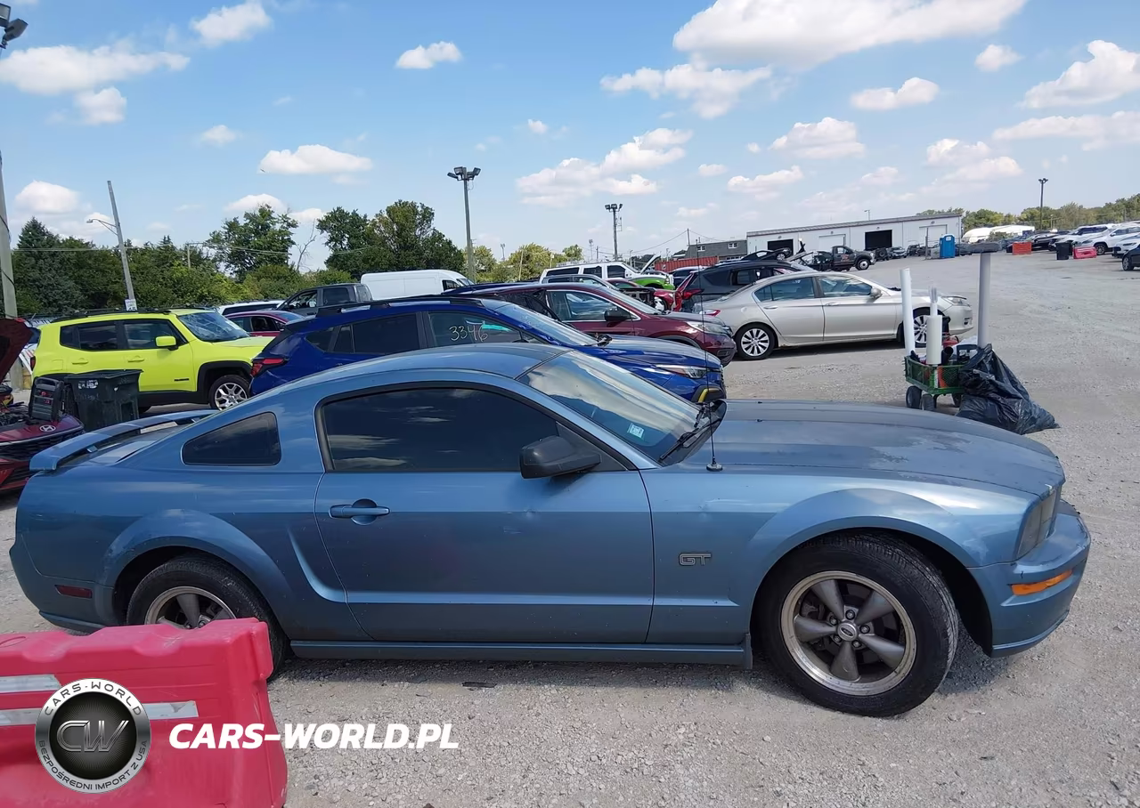 2006 Ford Mustang Gt VIN:1ZVHT82H065151294 - 13