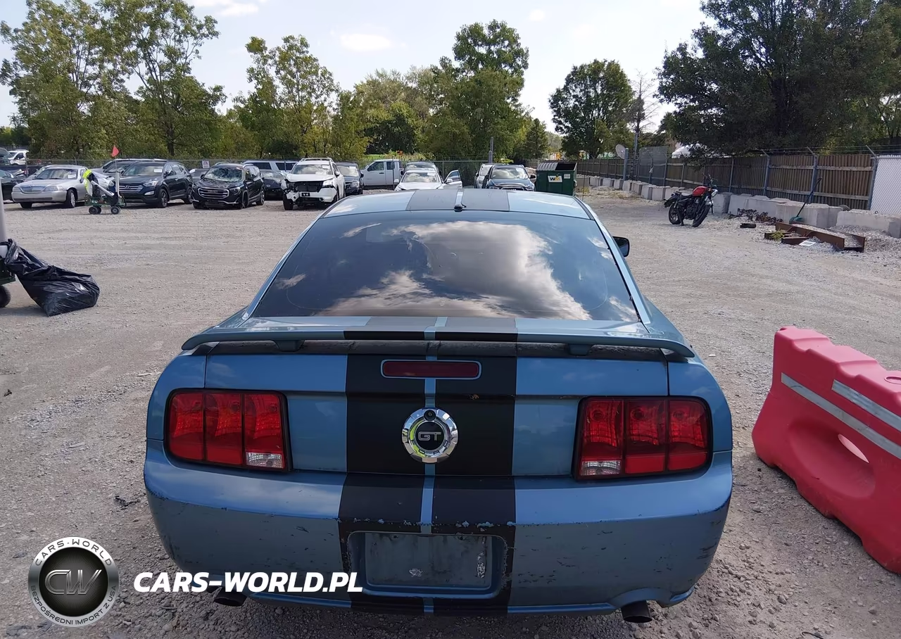 2006 Ford Mustang Gt VIN:1ZVHT82H065151294 - 16