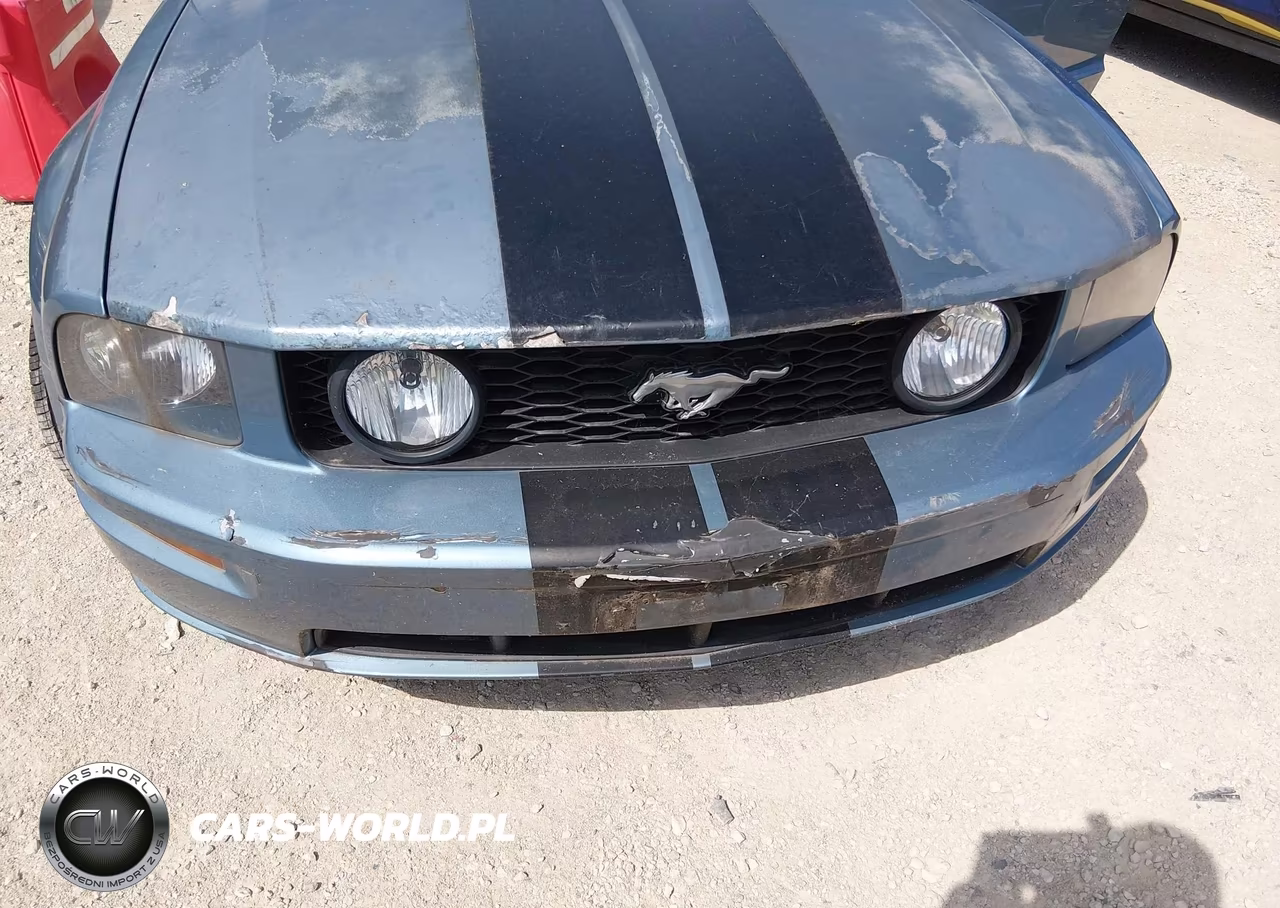 2006 Ford Mustang Gt VIN:1ZVHT82H065151294 - 17