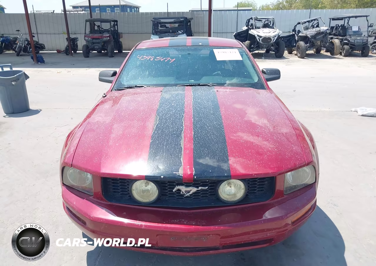 2008 Ford Mustang V6 Deluxe-V6 Premium VIN:1ZVHT80N985107998 - 12