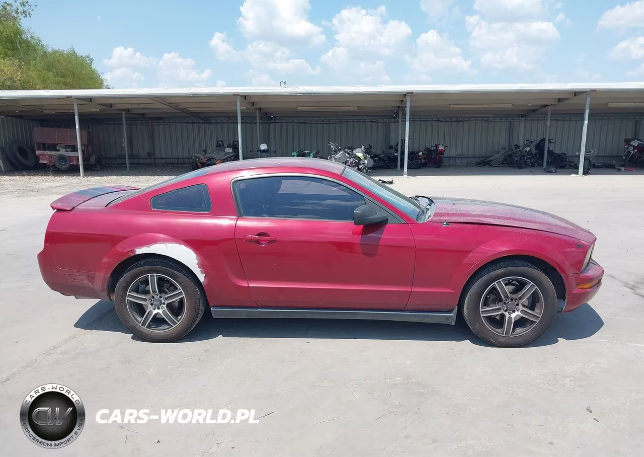 2008 Ford Mustang V6 Deluxe-V6 Premium VIN:1ZVHT80N985107998 - 13