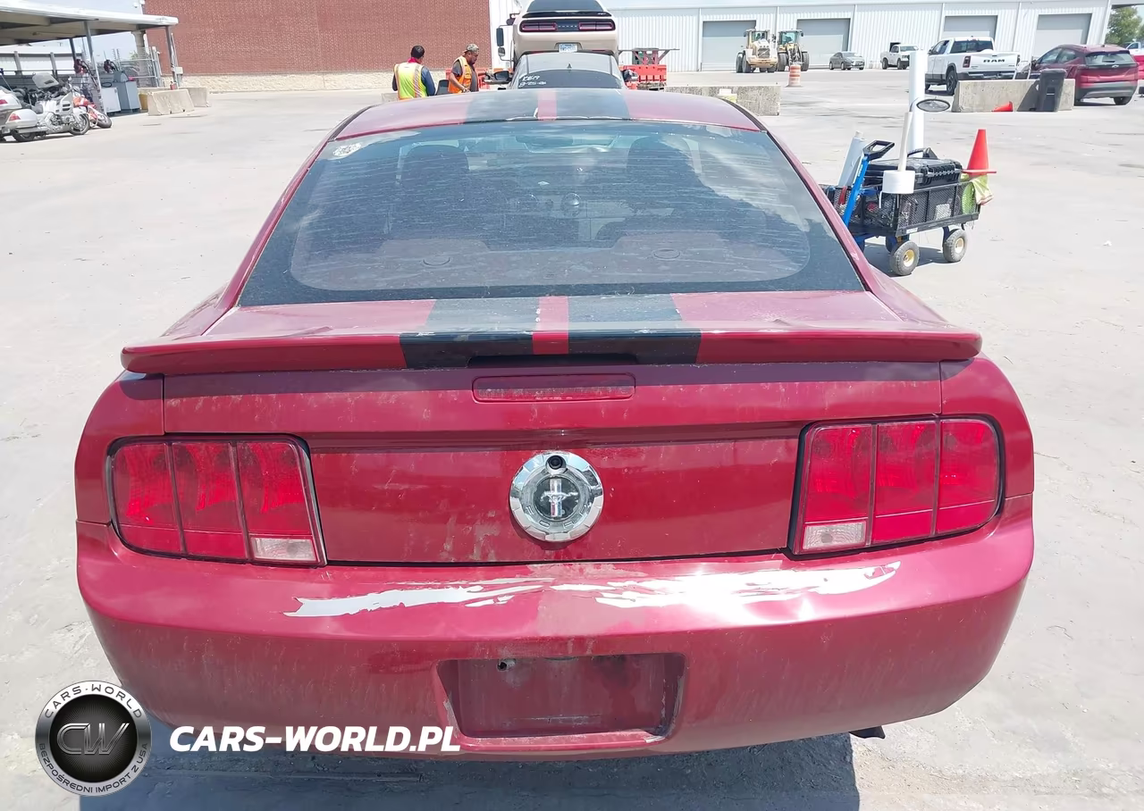 2008 Ford Mustang V6 Deluxe-V6 Premium VIN:1ZVHT80N985107998 - 16