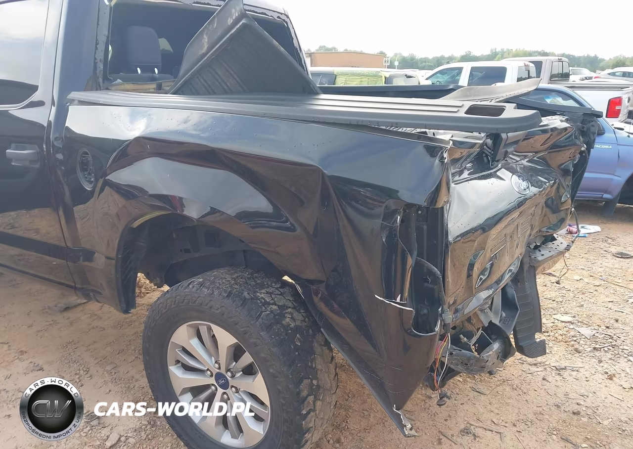 2020 Ford F-150 Xl VIN:1FTEW1E50LKF51097 - 6