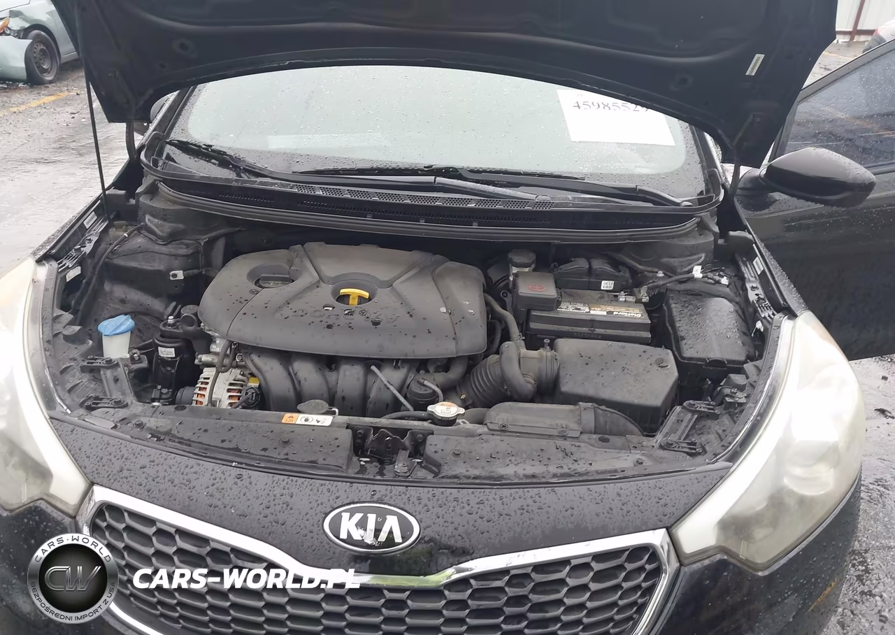 2015 Kia Forte Lx VIN:KNAFK4A68F5375030 - 10