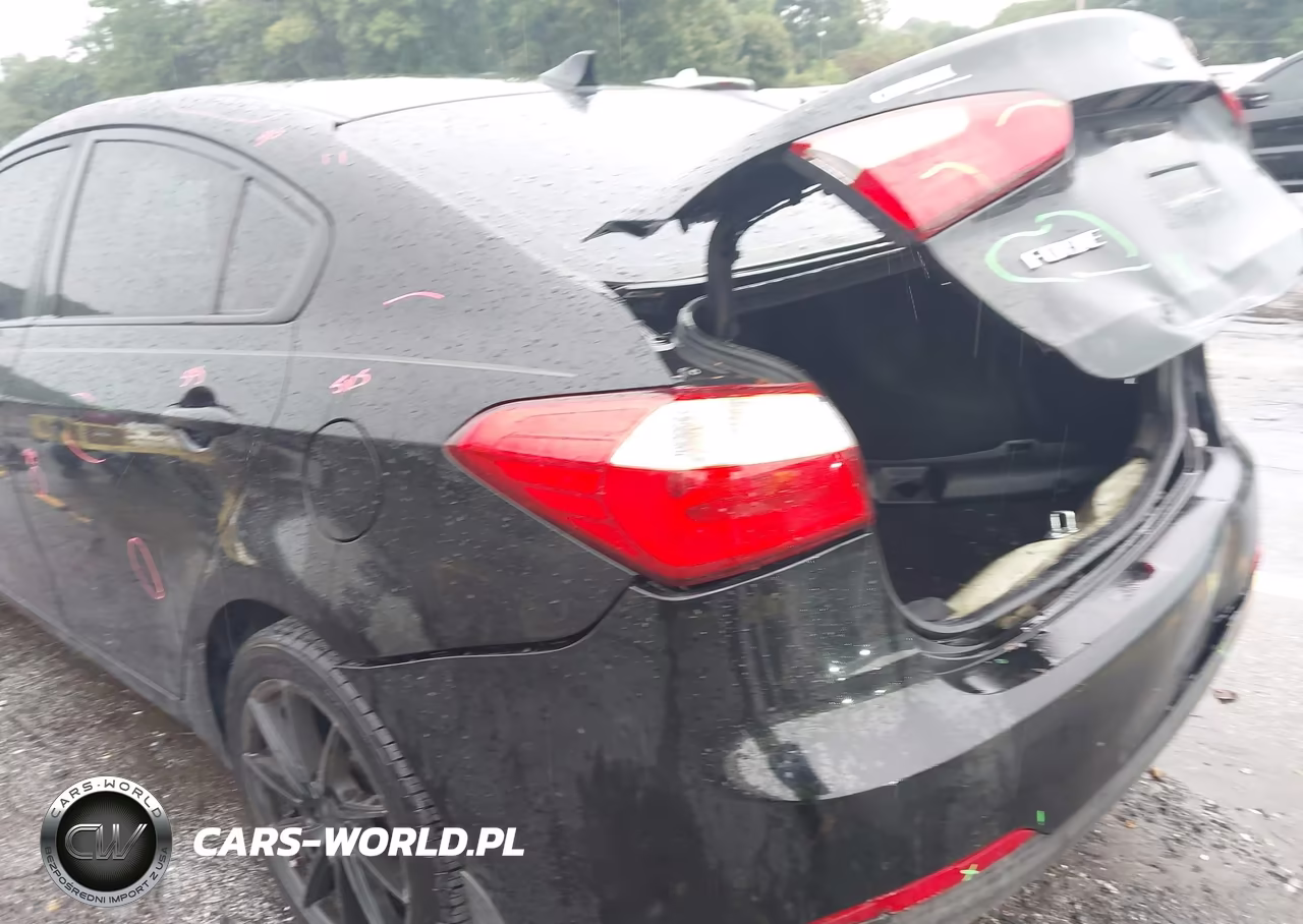 2015 Kia Forte Lx VIN:KNAFK4A68F5375030 - 13