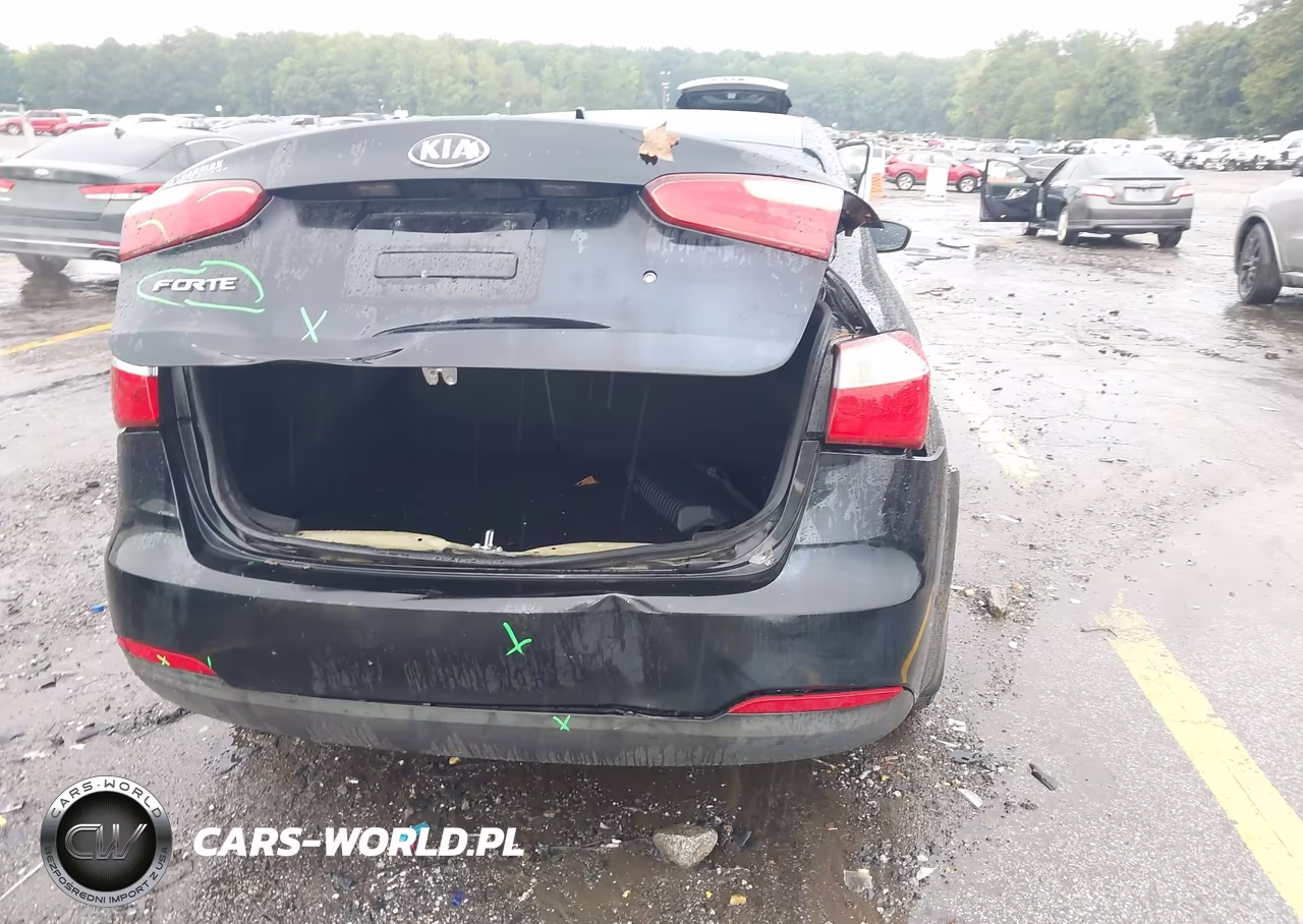2015 Kia Forte Lx VIN:KNAFK4A68F5375030 - 6