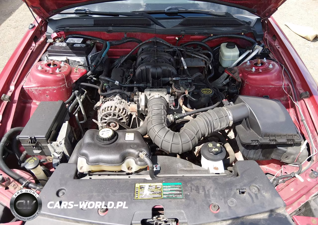 2006 Ford Mustang V6 VIN:1ZVFT80N965139676 - 10