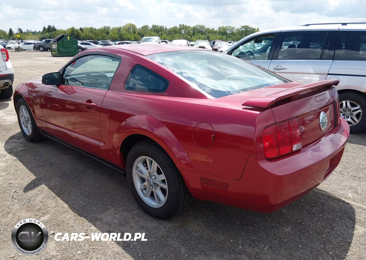 2006 Ford Mustang V6 VIN:1ZVFT80N965139676 - 3