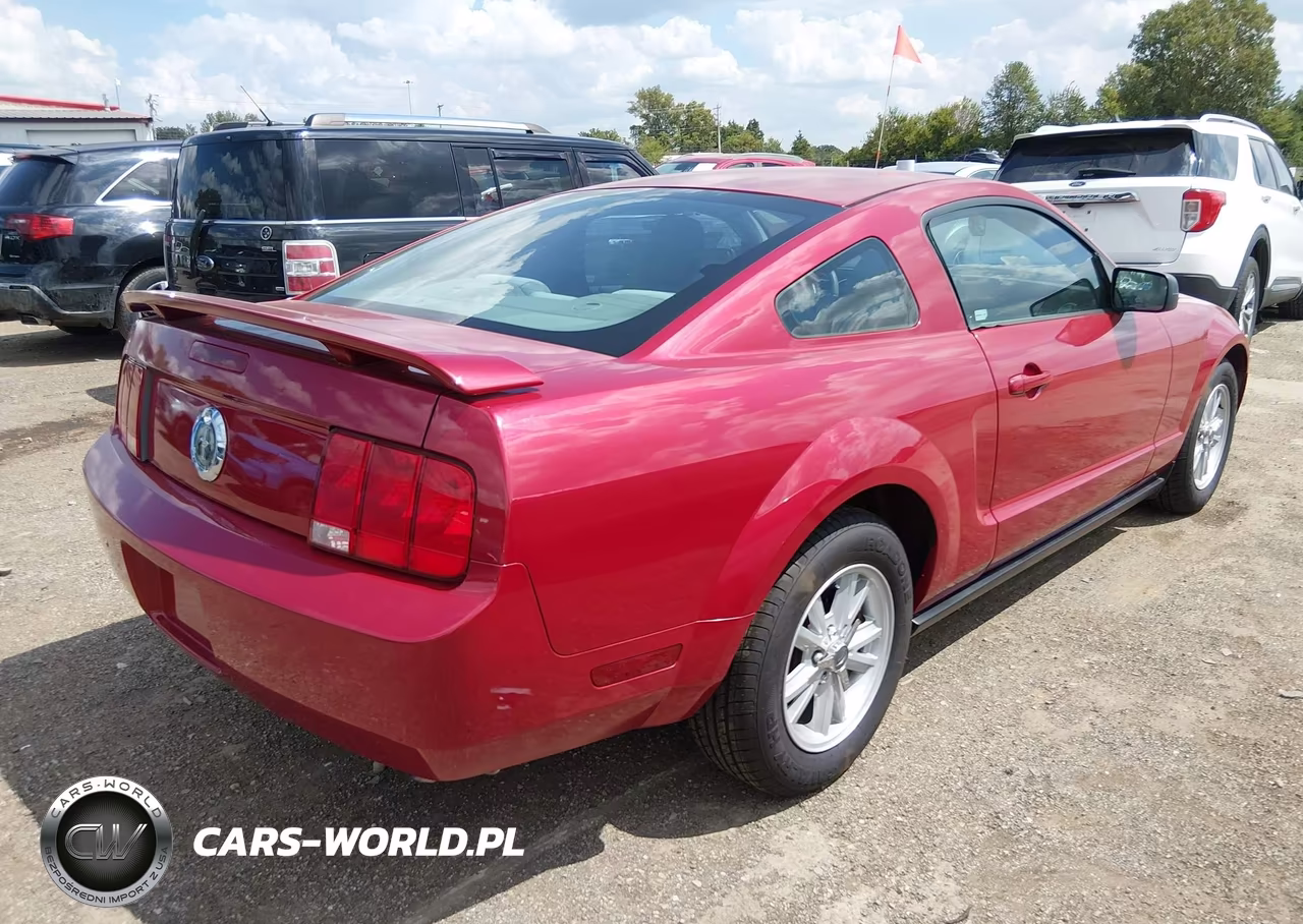 2006 Ford Mustang V6 VIN:1ZVFT80N965139676 - 4