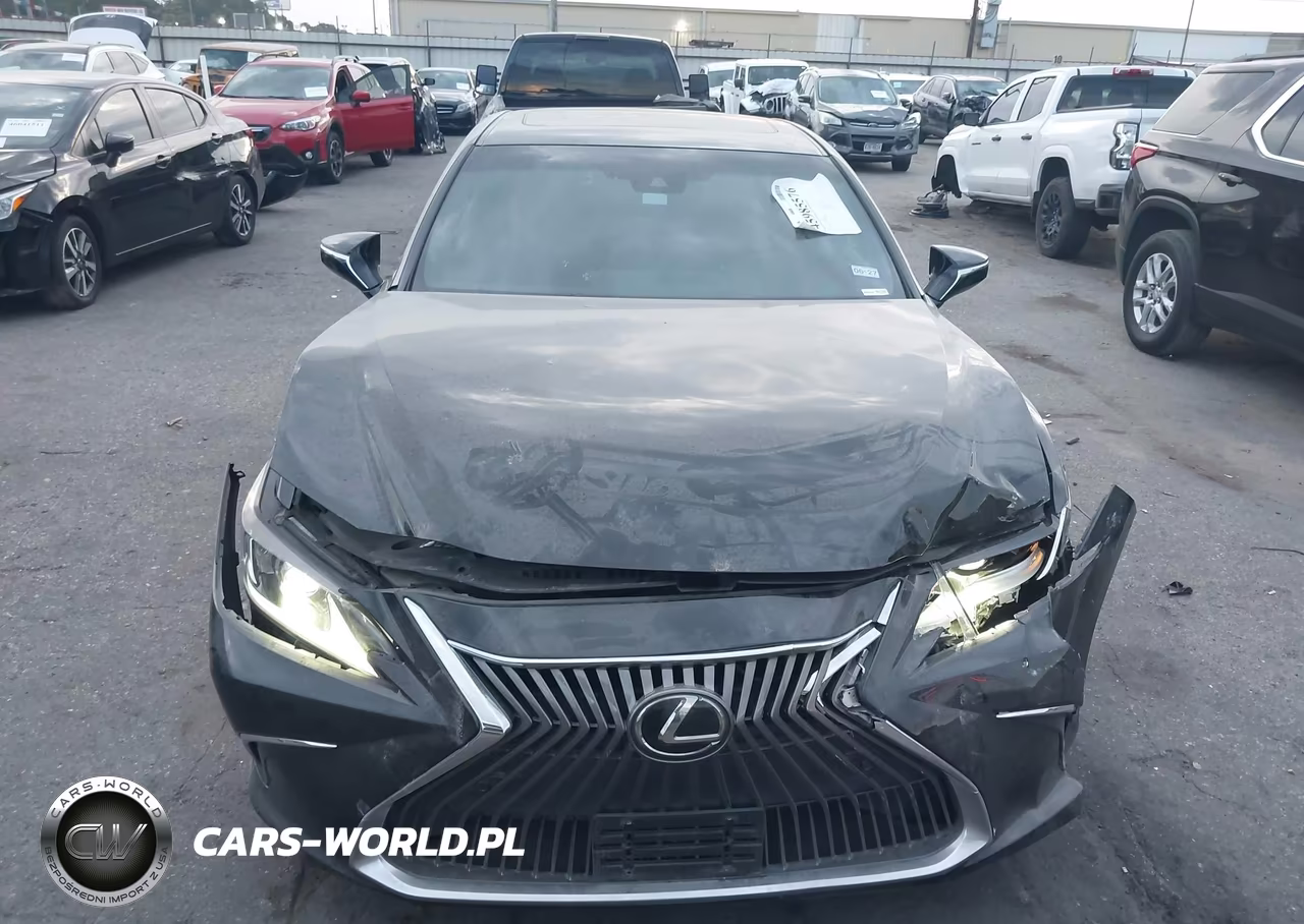 2021 Lexus Es 350 VIN:58ADZ1B1XMU098248 - 6