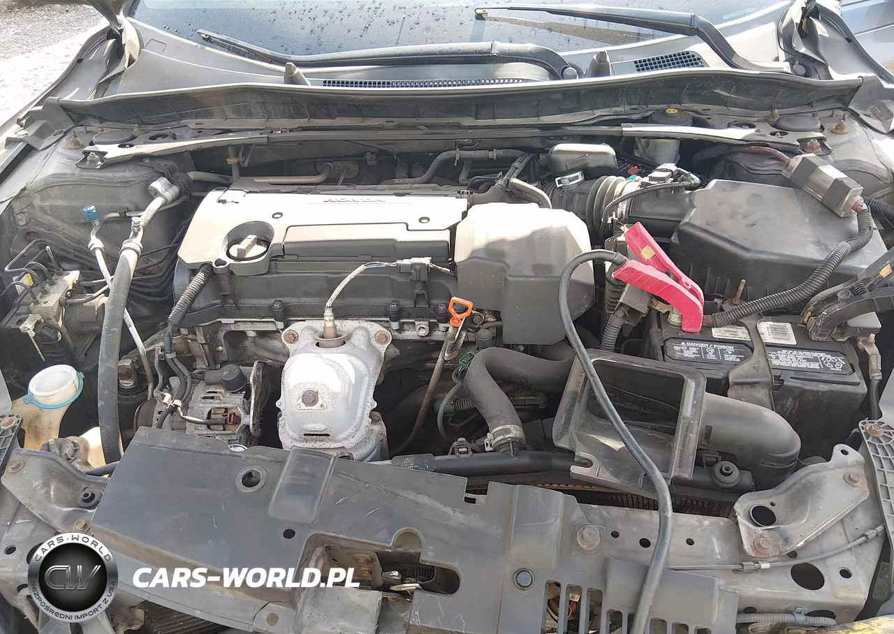 2013 Honda Accord Ex-L VIN:1HGCR2F81DA081765 - 10