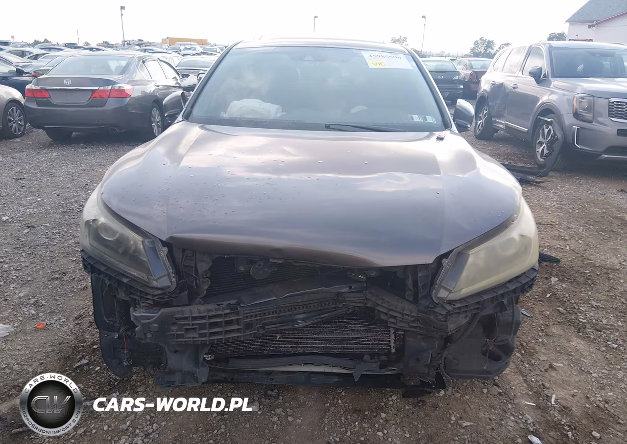 2013 Honda Accord Ex-L VIN:1HGCR2F81DA081765 - 12