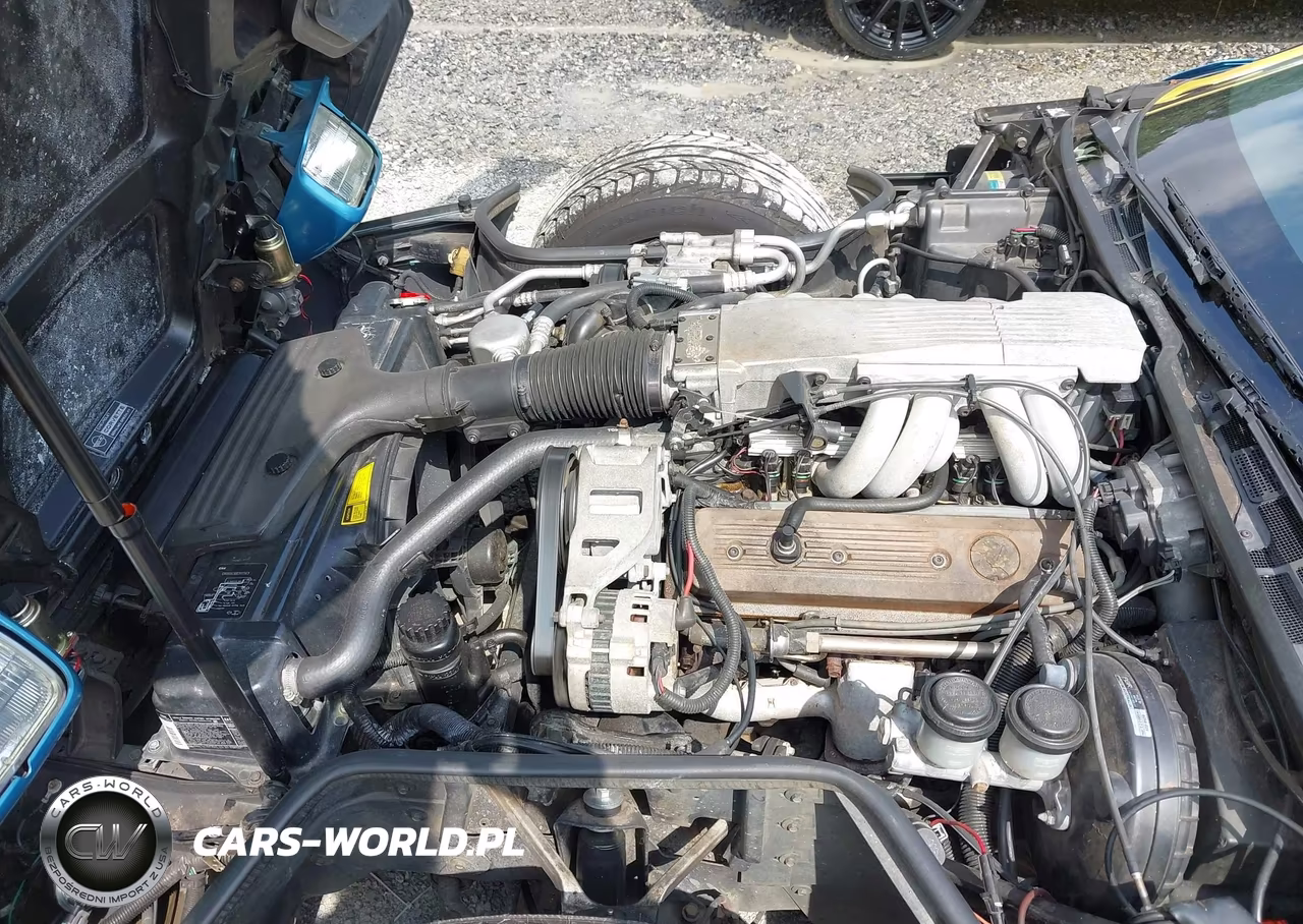 1988 Chevrolet Corvette VIN:1G1YY2188J5120296 - 10