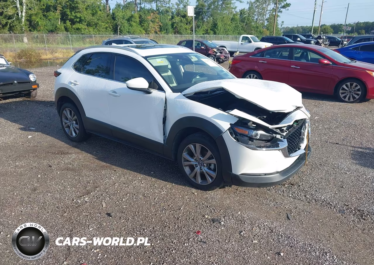 2021 Mazda Cx-30 Premium VIN:3MVDMADL7MM208572 - 1