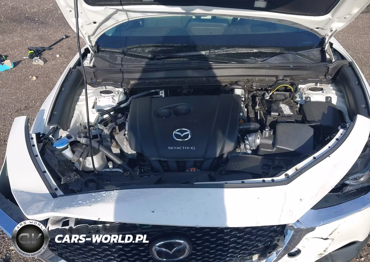 2021 Mazda Cx-30 Premium VIN:3MVDMADL7MM208572 - 10
