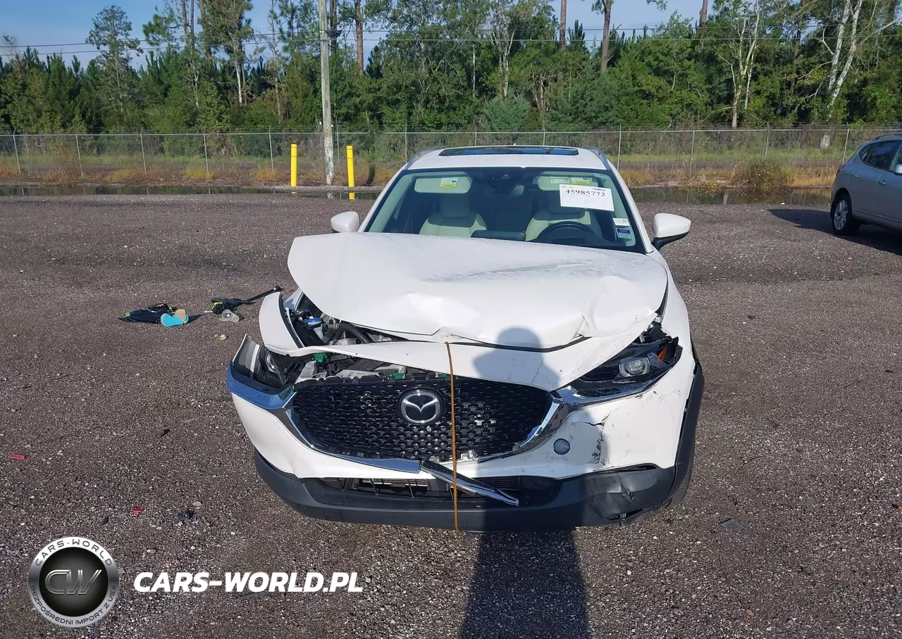2021 Mazda Cx-30 Premium VIN:3MVDMADL7MM208572 - 12