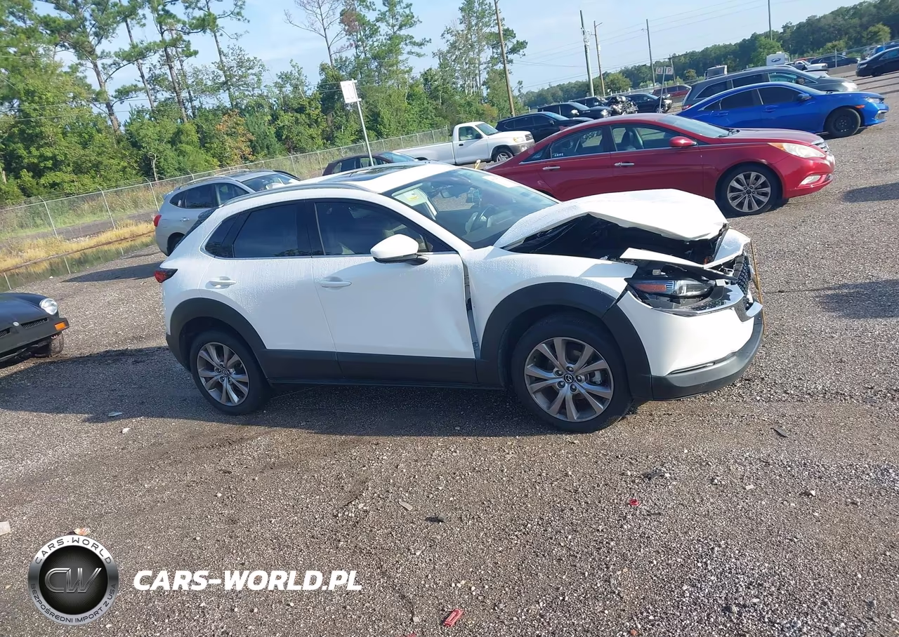 2021 Mazda Cx-30 Premium VIN:3MVDMADL7MM208572 - 13