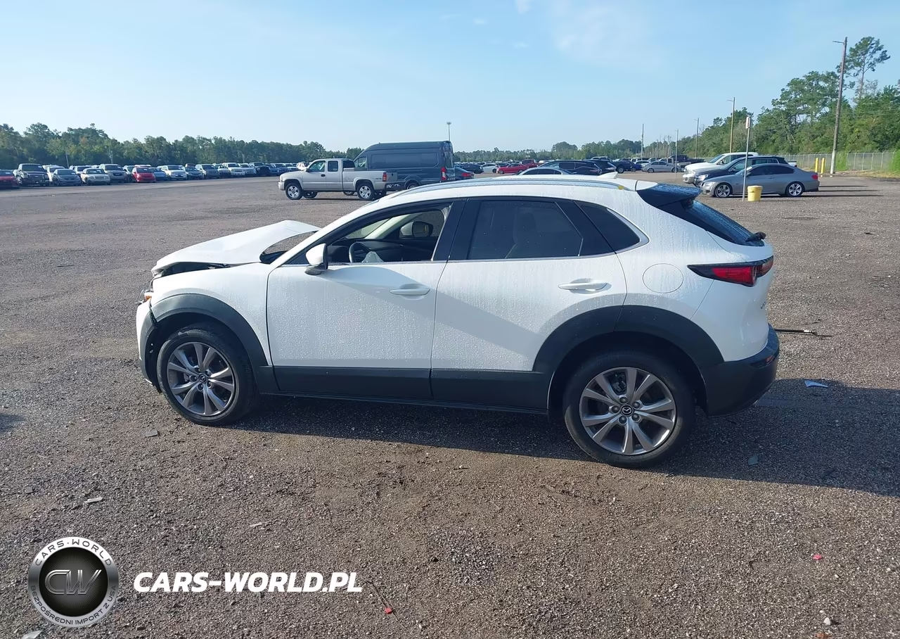 2021 Mazda Cx-30 Premium VIN:3MVDMADL7MM208572 - 14