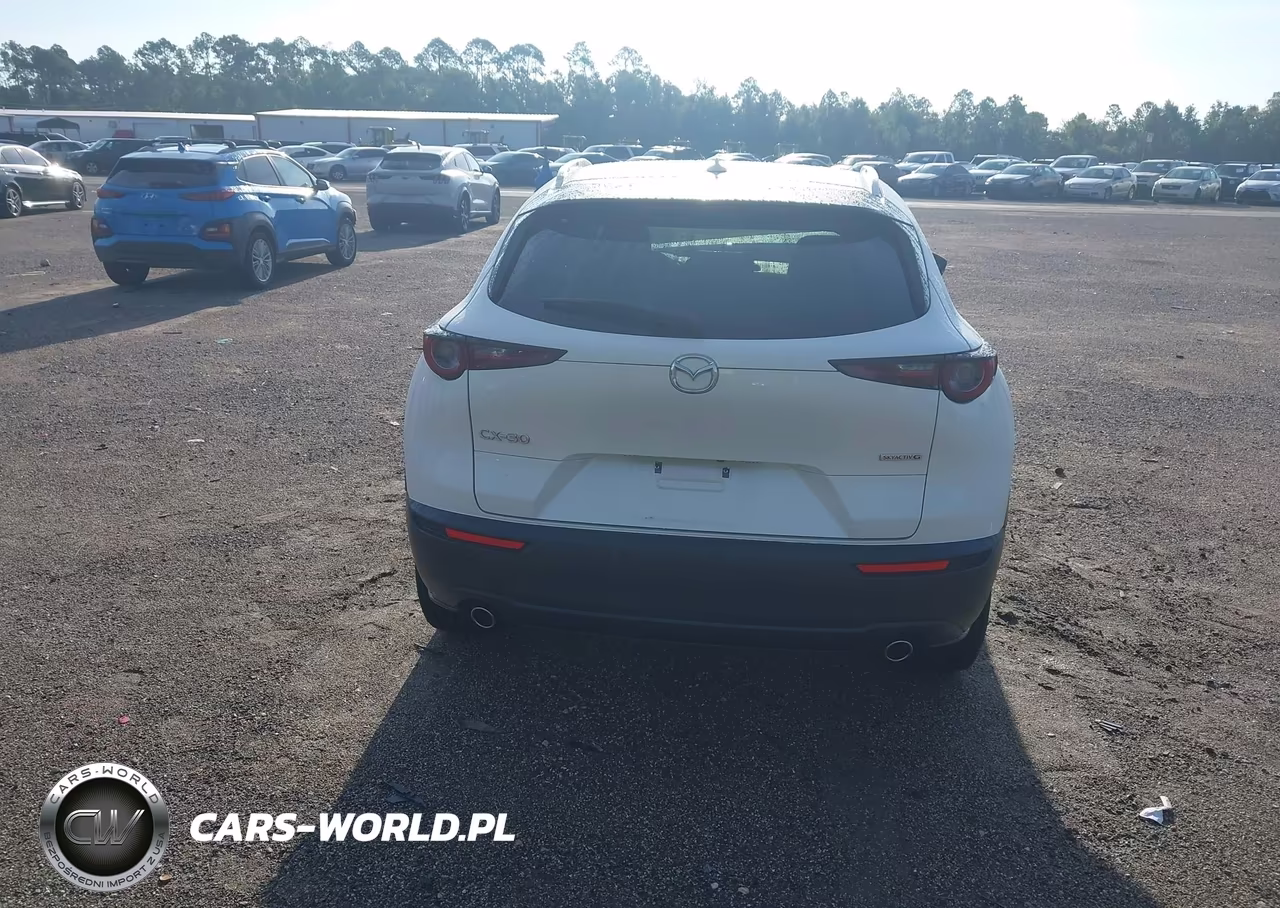 2021 Mazda Cx-30 Premium VIN:3MVDMADL7MM208572 - 16
