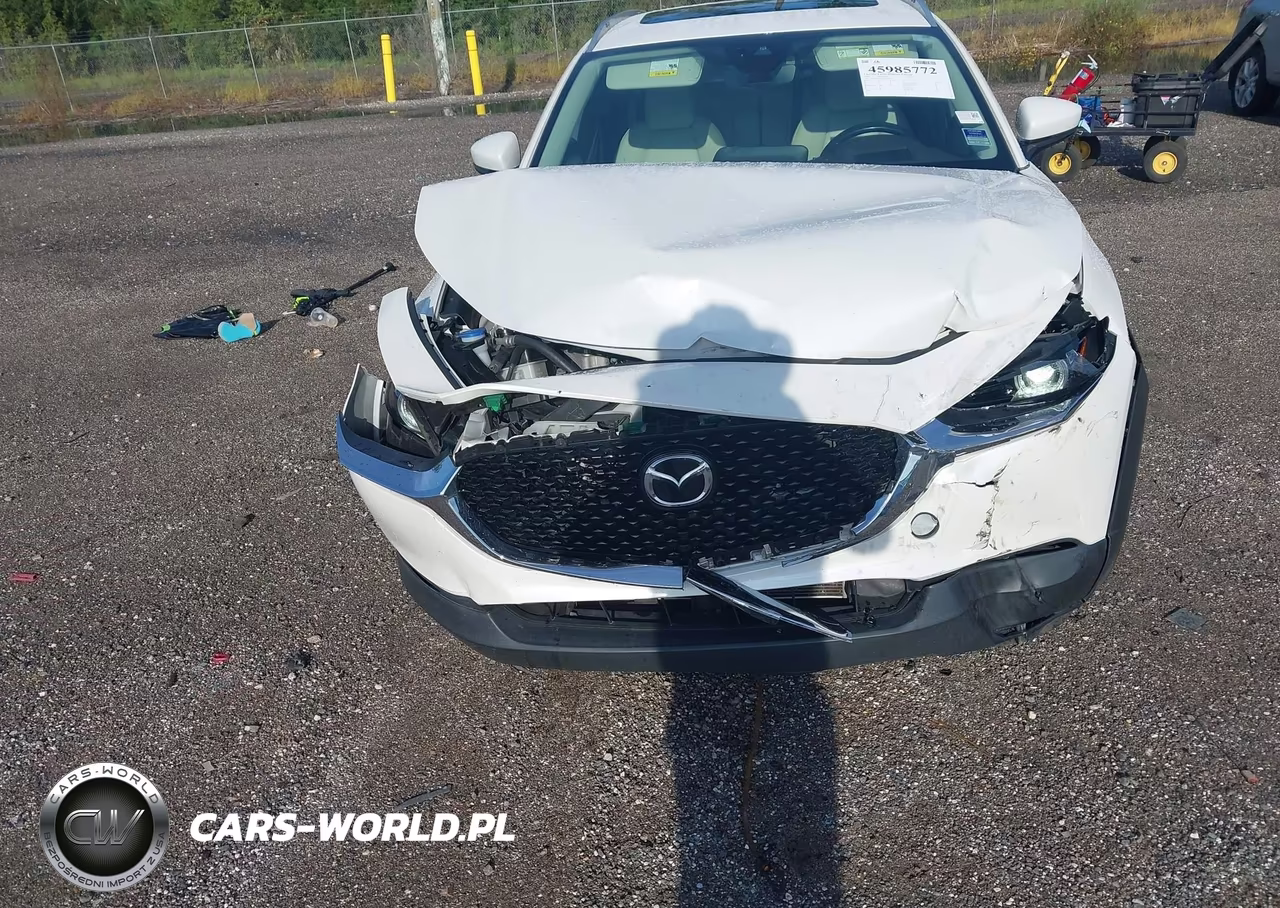 2021 Mazda Cx-30 Premium VIN:3MVDMADL7MM208572 - 17