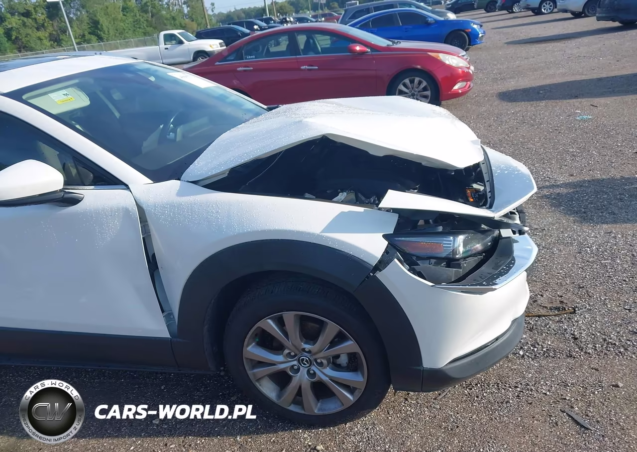 2021 Mazda Cx-30 Premium VIN:3MVDMADL7MM208572 - 18