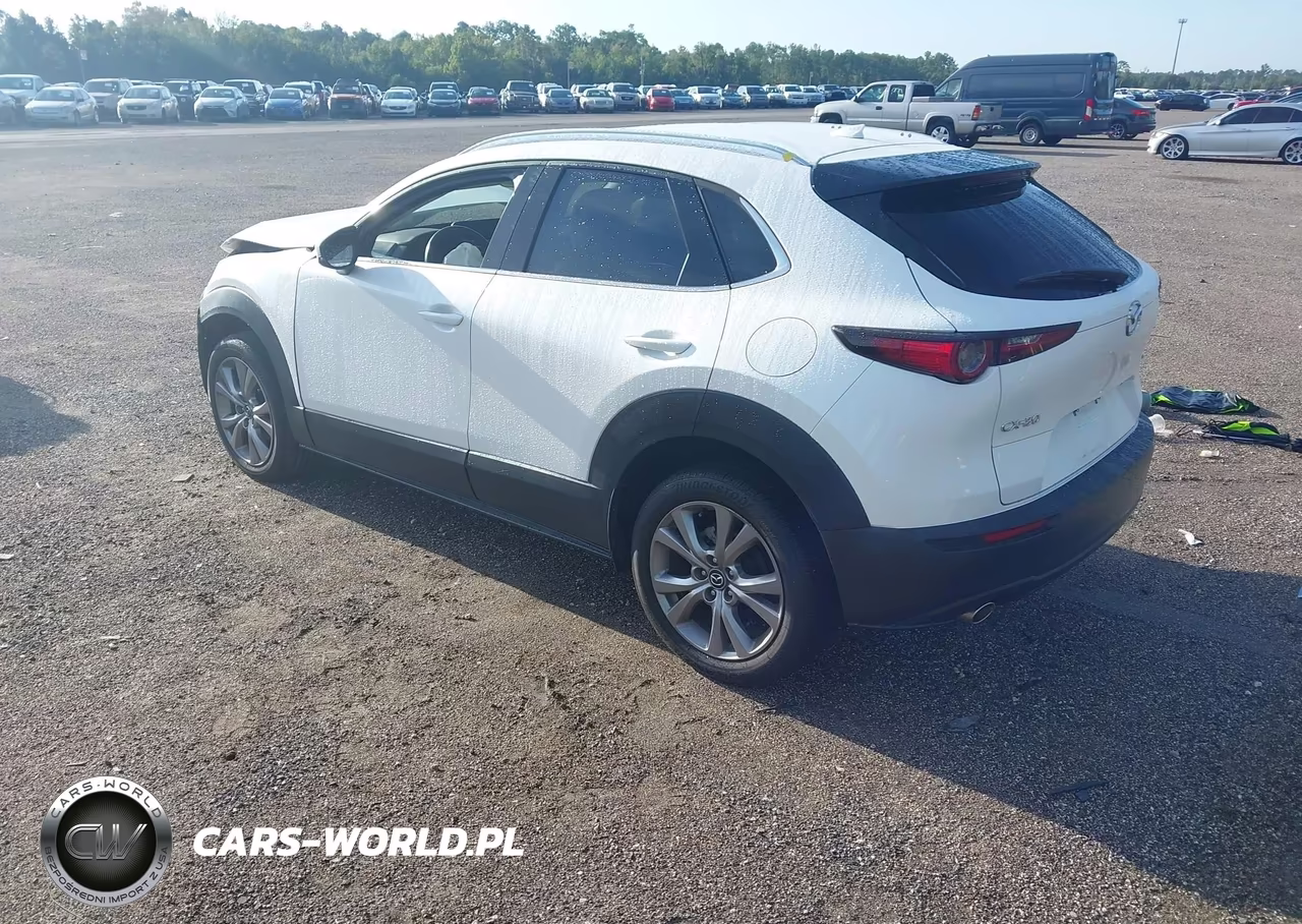 2021 Mazda Cx-30 Premium VIN:3MVDMADL7MM208572 - 3