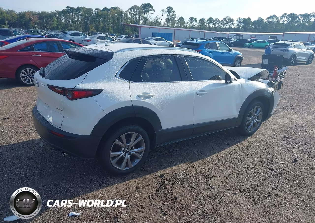 2021 Mazda Cx-30 Premium VIN:3MVDMADL7MM208572 - 4