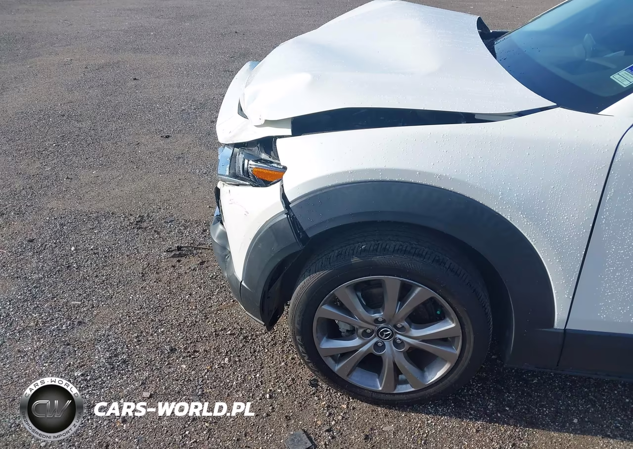 2021 Mazda Cx-30 Premium VIN:3MVDMADL7MM208572 - 6