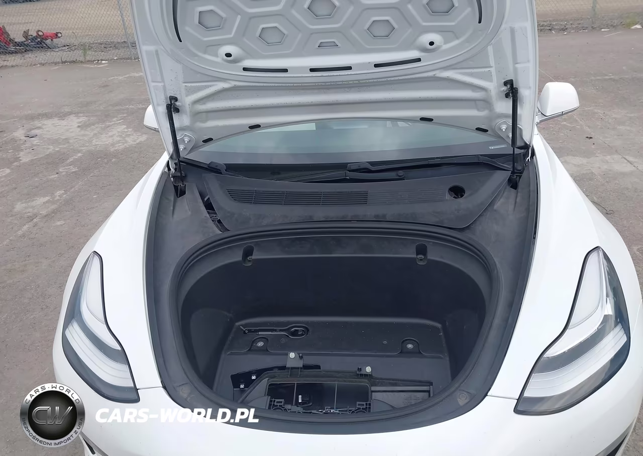 2020 Tesla Model 3 Long Range Dual Motor All-Wheel Drive VIN:5YJ3E1EB0LF720130 - 10