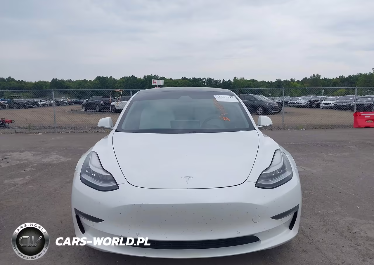 2020 Tesla Model 3 Long Range Dual Motor All-Wheel Drive VIN:5YJ3E1EB0LF720130 - 12