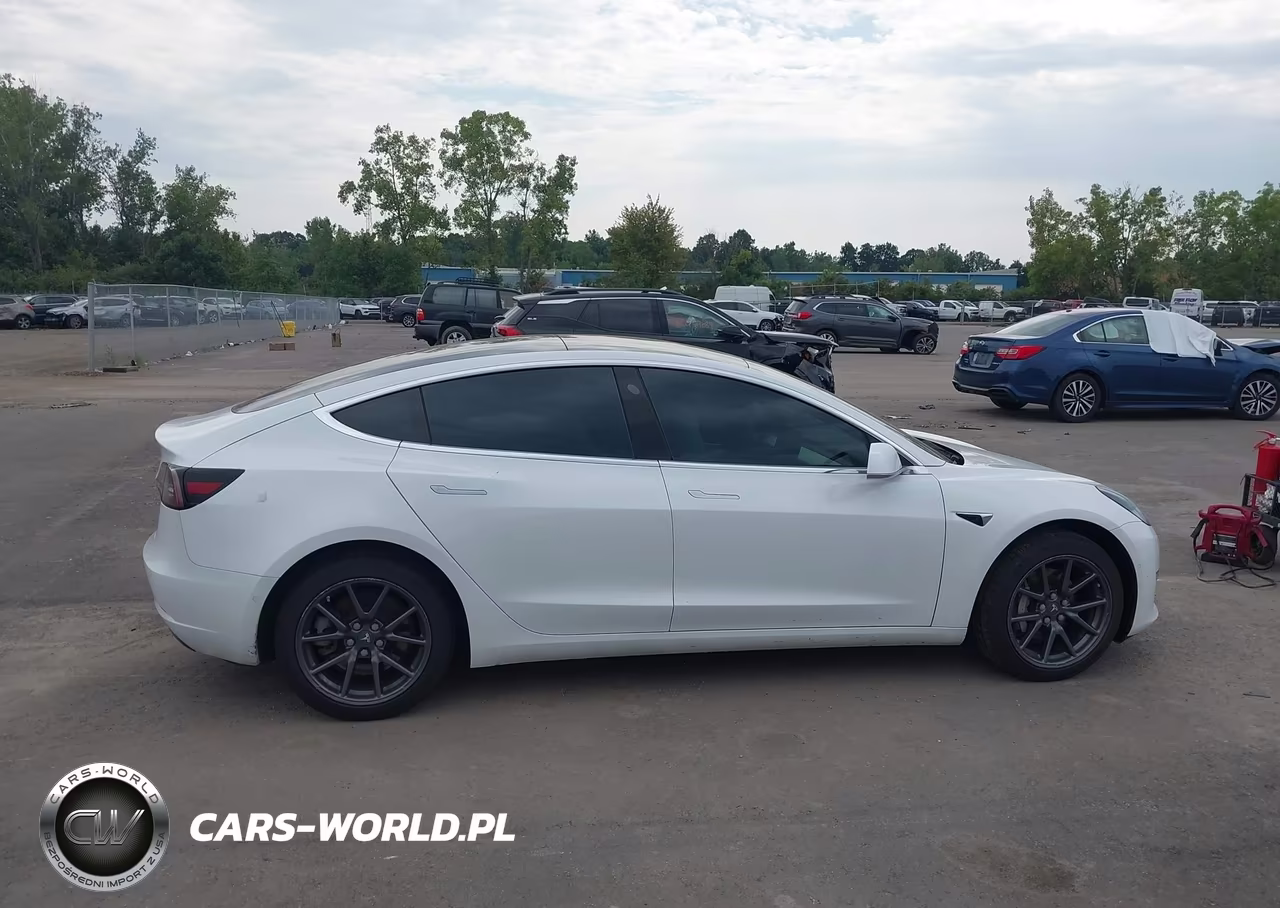 2020 Tesla Model 3 Long Range Dual Motor All-Wheel Drive VIN:5YJ3E1EB0LF720130 - 13