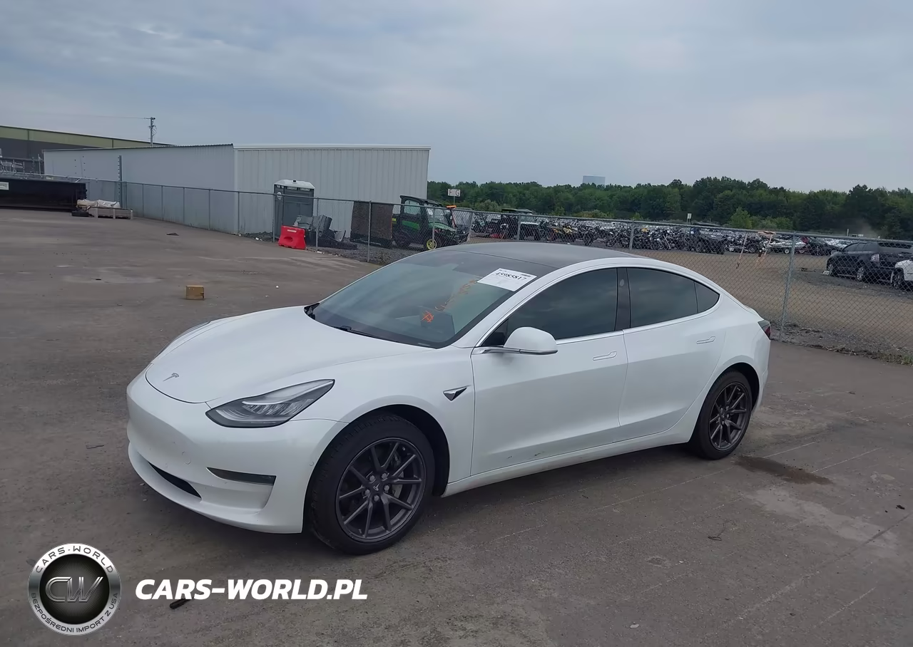 2020 Tesla Model 3 Long Range Dual Motor All-Wheel Drive VIN:5YJ3E1EB0LF720130 - 2