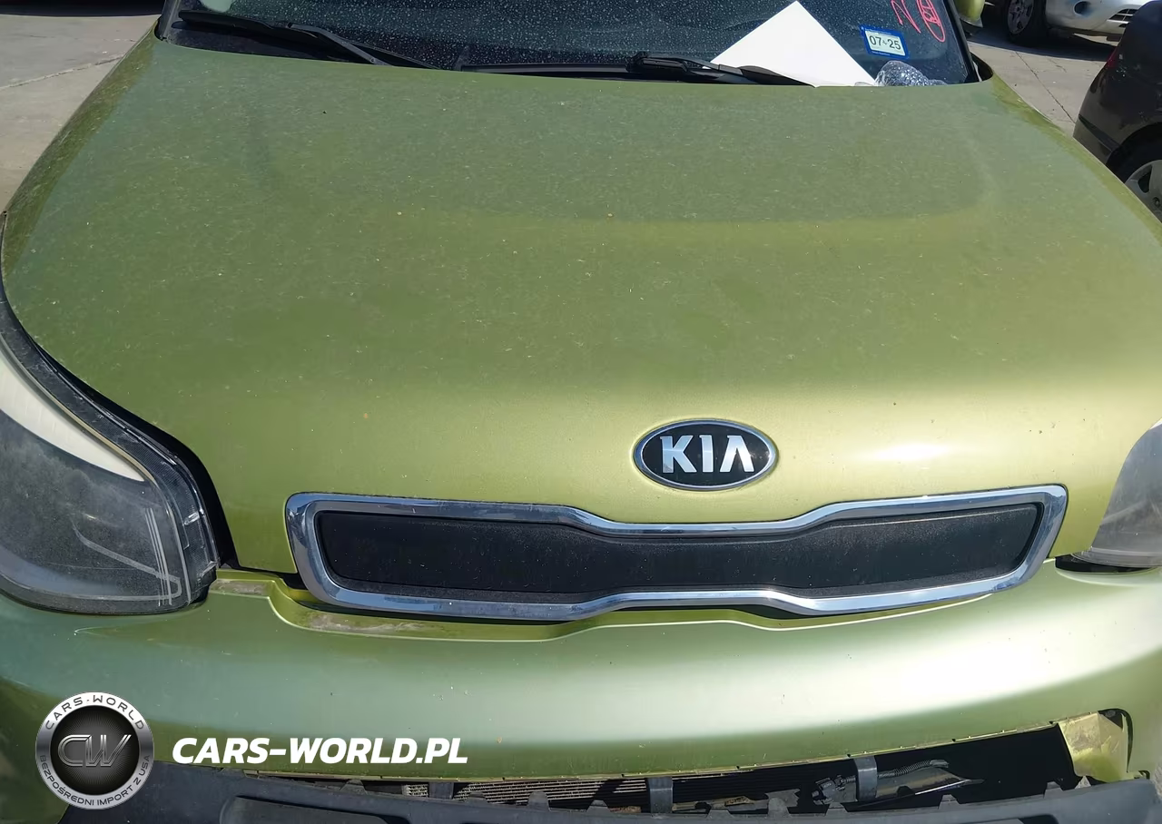 2015 Kia Soul VIN:KNDJN2A28F7797275 - 10