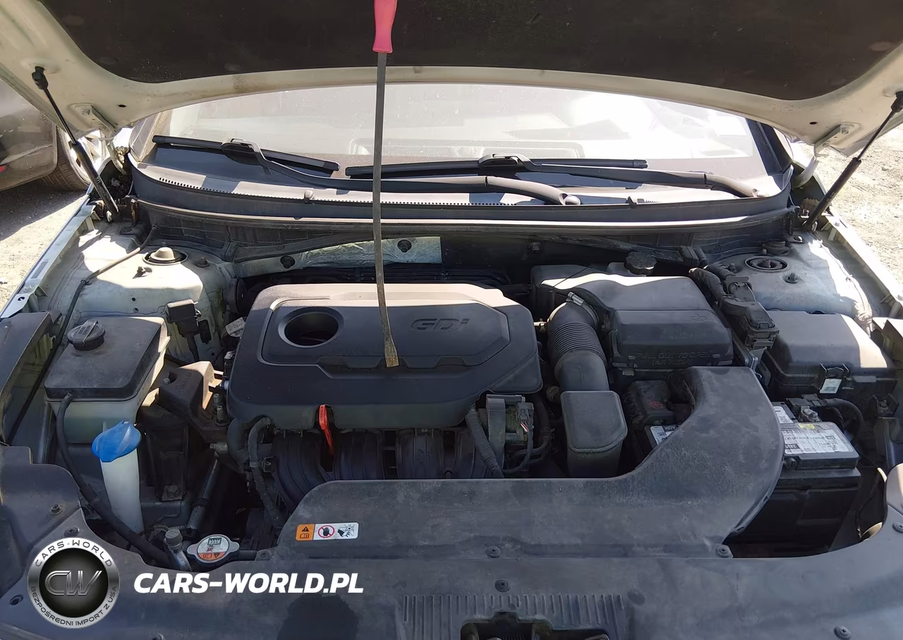 2016 Hyundai Sonata Se VIN:5NPE24AF5GH263494 - 10