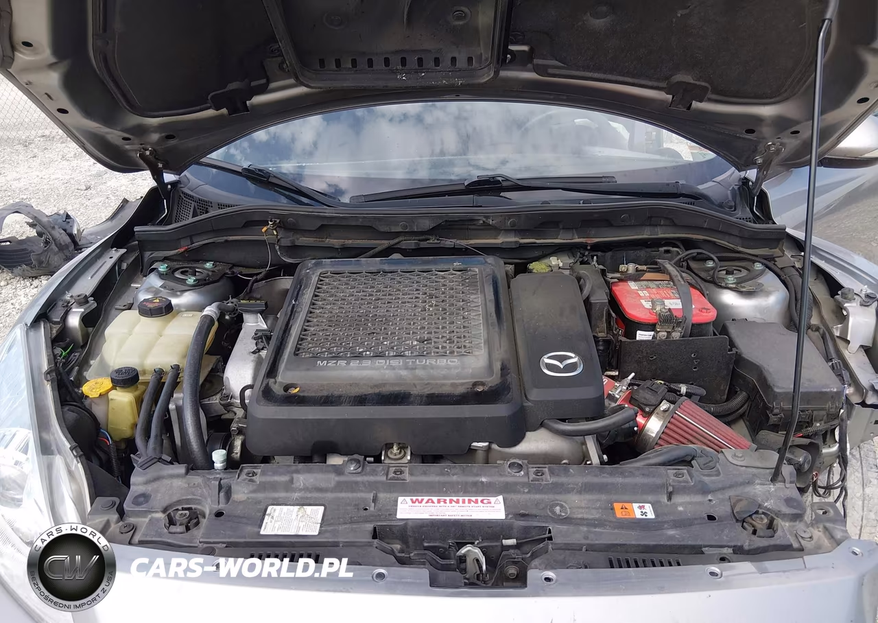 2010 Mazda Mazdaspeed3 Sport VIN:JM1BL1H43A1227014 - 10