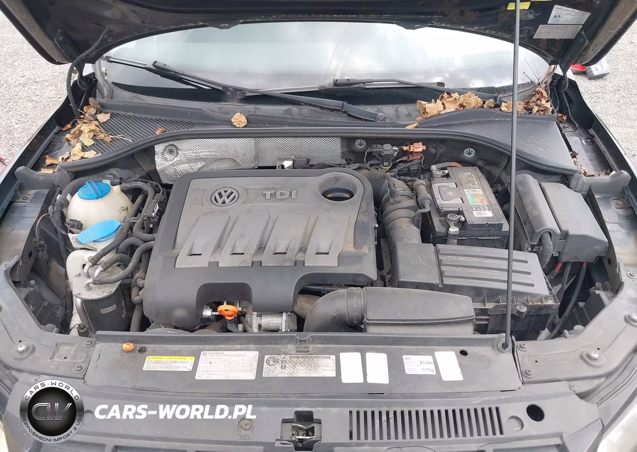 2013 Volkswagen Passat 2.0L Tdi Sel Premium VIN:1VWCN7A3XDC012481 - 10