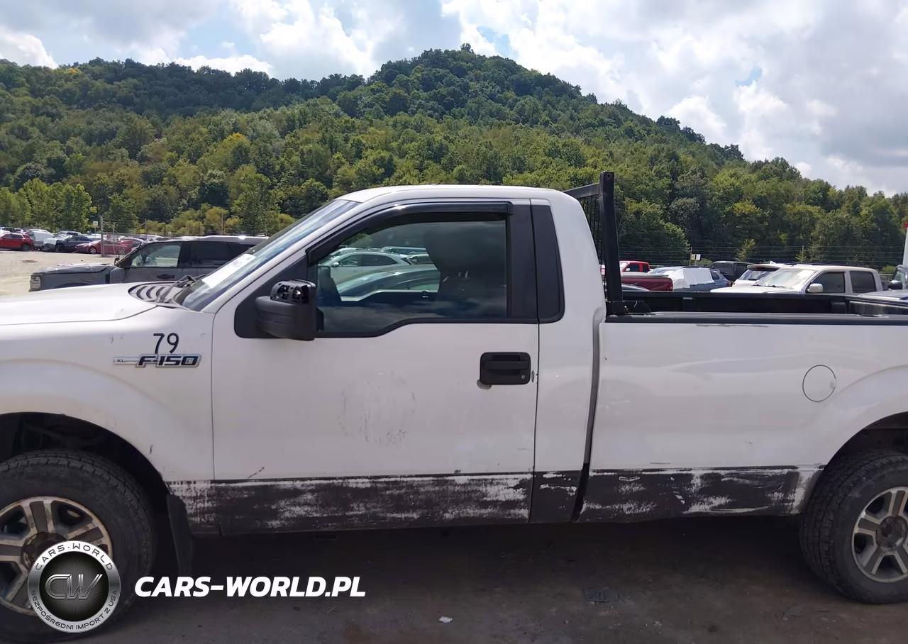 2009 Ford F-150 Stx-Xl-Xl W-Midbox Prep-Xlt-Xlt W-Midbox Prep VIN:1FTRF12W79KB89650 - 14